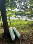 Rooted Oak Nature Retreat - Bungalows