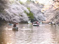 Yumenoya Kichijoji Hotels in Musashino