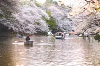 Yumenoya Kichijoji