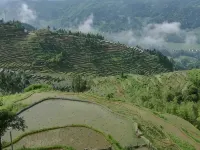 Ziquejie Zhuofan Home Homestay - Mountain view