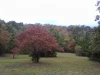 Bright, Cheerful, Spacious Home With Lovely Views Of The Great Smoky Mountains!! - 3-Star