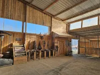 The Pink Hayloft