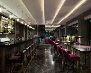 Hyatt Regency Moscow Petrovsky Park - bar