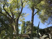 Cottage in the green, a stone's throw from the sea Hotels in Numana