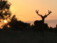 Red Deer Lodge HiBanks Ranch 12 minutes from Magnolia Silos