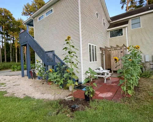 Private treetop suite in Kitty Hawk Coastal Preserve Hotels in Kitty Hawk