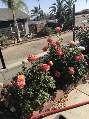 Meticulous Private House @Camarillo Heights-82" TV, Beach/Shopping