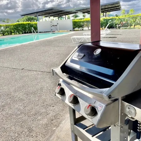 Beautiful Condo in the Heart of Hilo - Pool - A/C #718