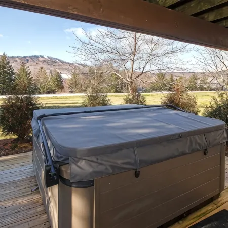 Fully Renovated Condo in Greenspring Community (Mt Snow)