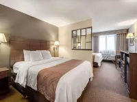 Quality Inn & Suites Newberry Hotels in Luce County