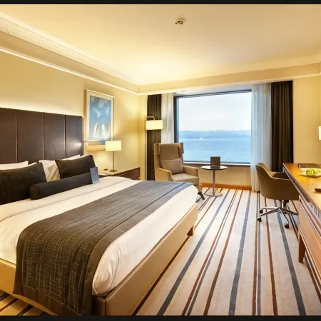 Dedeman Zonguldak