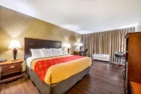 Econo Lodge Corinth - Wifi