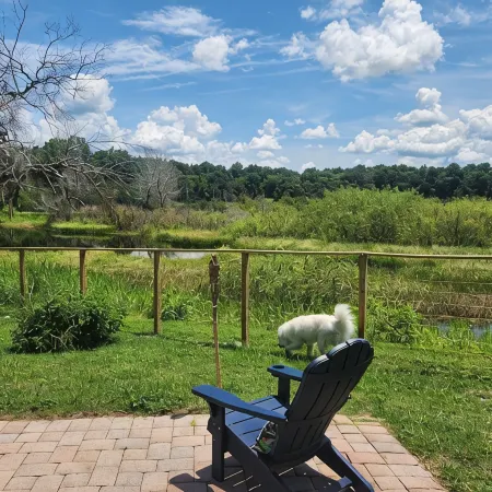 Charming lakefront 3BR 3BA house w/ EV chg in heart of Mt. Dora. Nature abounds.