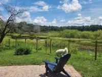 Charming lakefront 3BR 3BA house w/ EV chg in heart of Mt. Dora. Nature abounds.