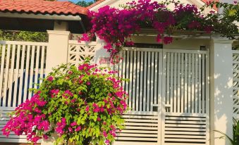 Mekong Home - Housity