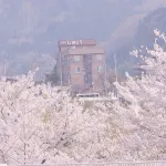 Kodakaranoyu Shiojiri Hotel