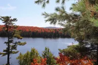 Caribou Sunrise, Lakeside Cabin in the Northwoods! - Chalets