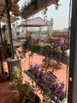 Backpacker's Nest Hotels in 