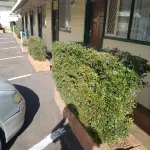 Golden Peak Motel PeakHill - parkir