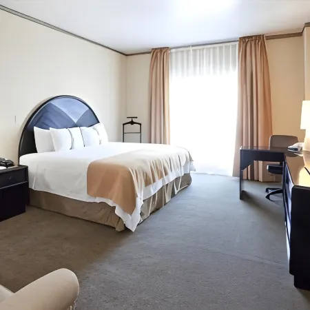 Holiday Inn LEON by IHG