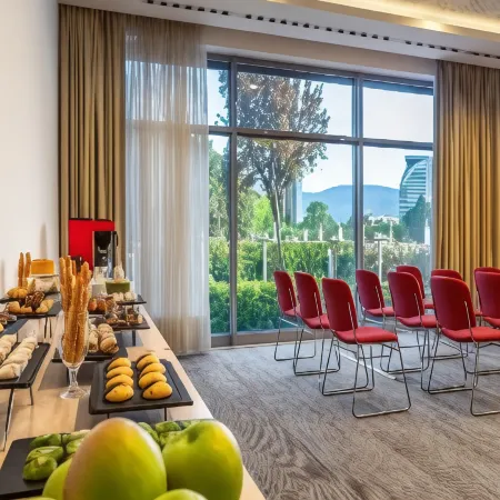 Ibis Bursa