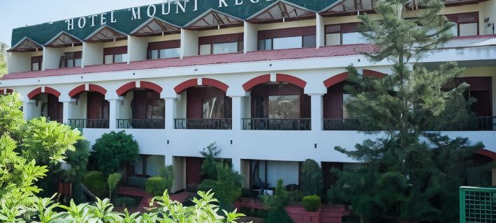 Hotel Mount Regency マウント・アビューのホテル