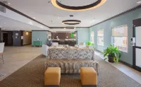 Holiday Inn & Suites 的林地 - 停車場
