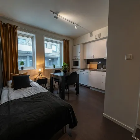TotalApartments Seminarbakken City Studio
