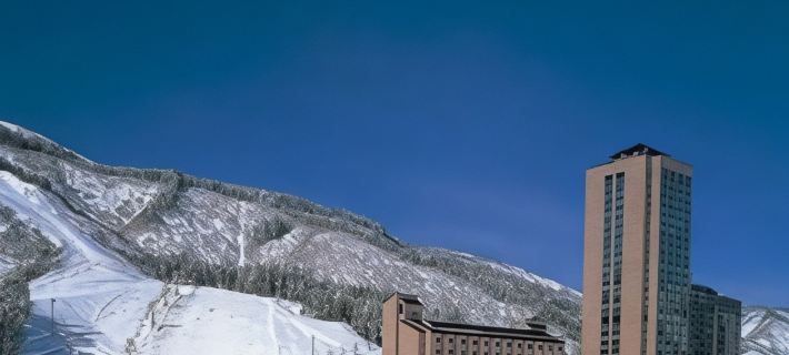 Echigoyuzawaonsen Gardentower Hotel Hotels in Yuzawa