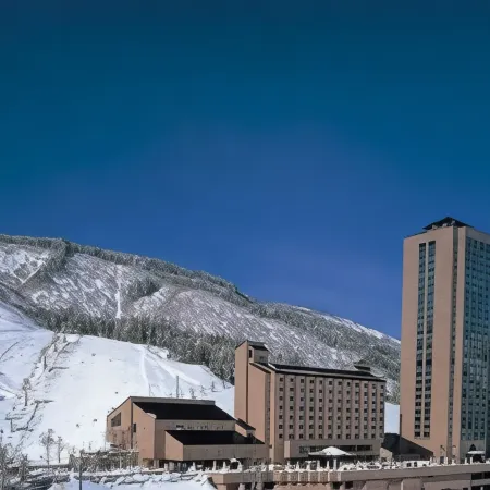 Echigoyuzawaonsen Gardentower Hotel