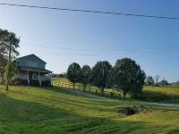 The Green Cabin-on-The Bourbon Trail-    High Proof since 2018! Recent Upgrades. - 4-Star