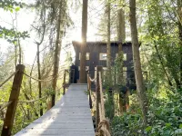 Yeti's Tree House: Where Dreams Come True