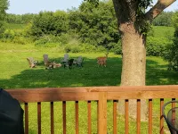Cozy country charm with a convenient location - 4-stjärniga