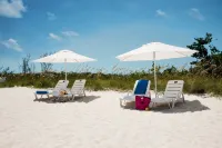 Beautiful OCEAN FRONT, POOL Villa walk or drive to GRACE BAY BEACH Turtle Ridge - Villas