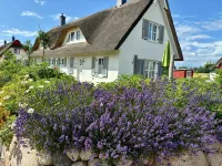 Privatunterkunft in Zierow - 3-Star