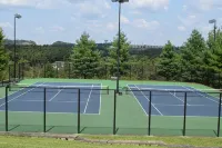 Great Private Villa with ideal Branson Location - Holiday bungalows