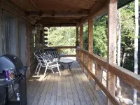 Cabin at Falls Romantic All Seasons Wonderland - Hytter