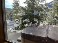 Mountain hideaway, minutes from Mission Ridge Ski and Board Resort - 레지던스