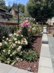 Magnificent Canyon View, Huge Deck, Outdoor Dining - Wifi