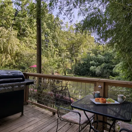 Beautiful Waterside Cabin (2), Great Location, View, 8 Min To Downtown, Biltmore