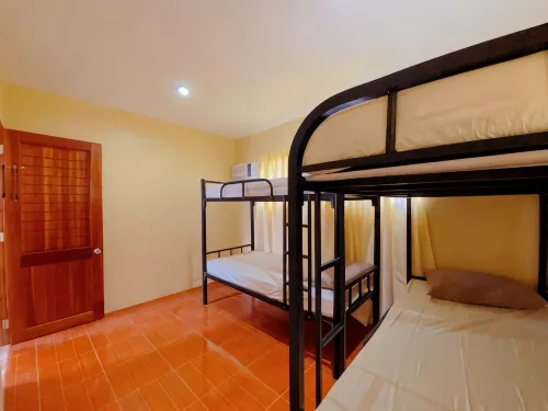 Shirubi Homestay & Guesthouse-Moalboal - Pensionat