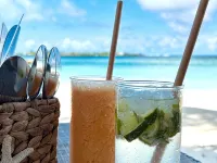 Canopus Retreat Thulusdhoo - bar