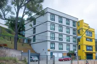 Hotel Regional JF - que admiten mascotas