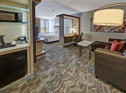 SpringHill Suites Oklahoma City Moore