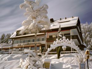 Schwarzwaldrestaurant Waldschlösschen Hotel • Restaurant