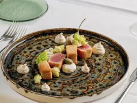 埃斯普奈德公寓酒店 維亞雷焦酒店