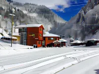 Ayder Avusor Hotel Hotels in Yukarisimsirli Koyu
