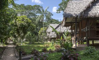 Tambopata Ecolodge - Housity