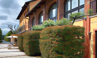 Tenuta la Cascinetta