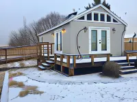 Shady Lady Bed and Breakfast - Homestays